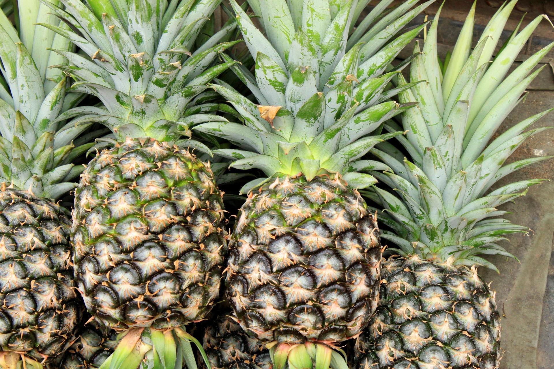 Ananas, Obst, Lebensmittel