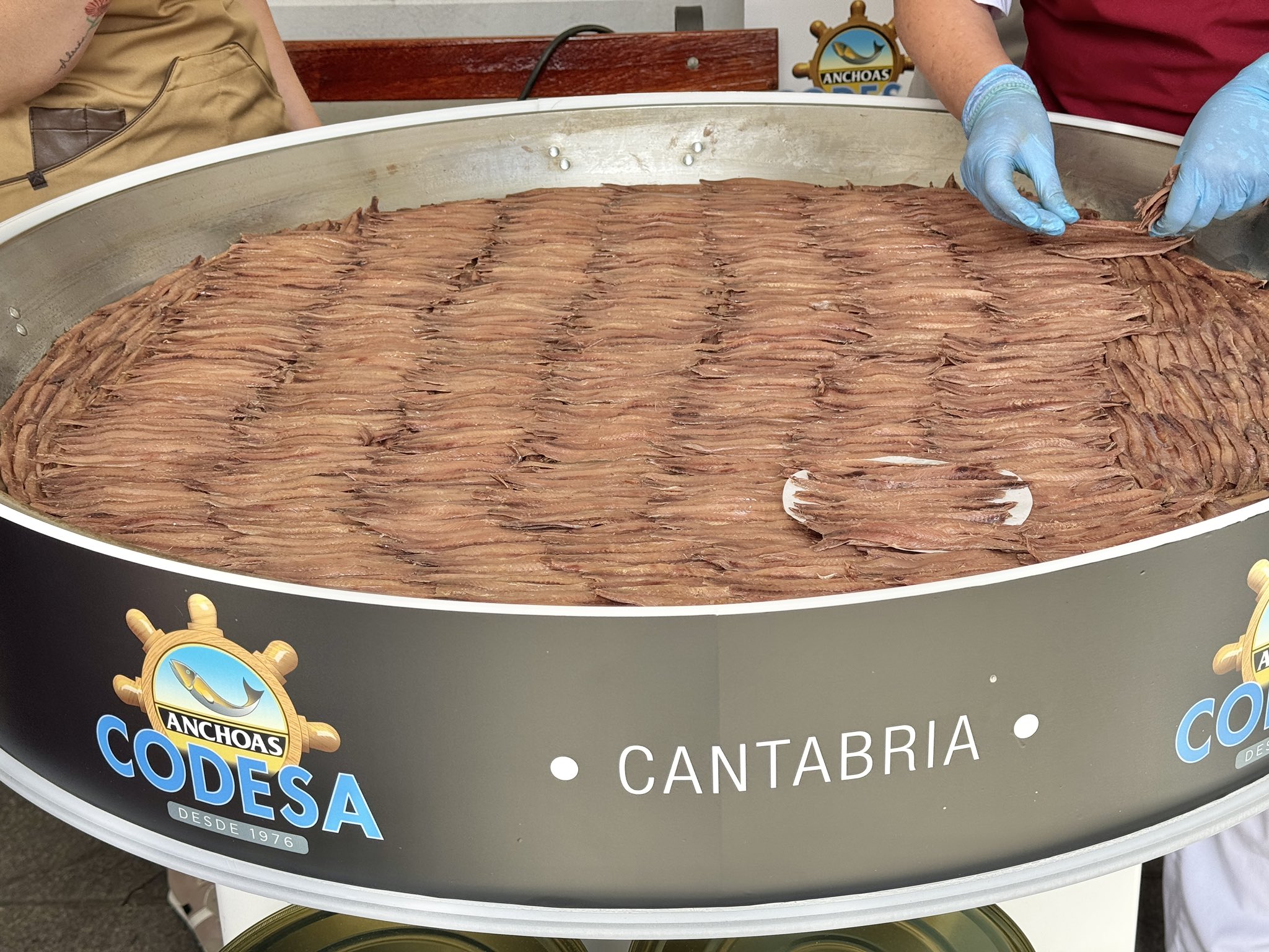 Record: 3.232 ansjovissen in een blikje