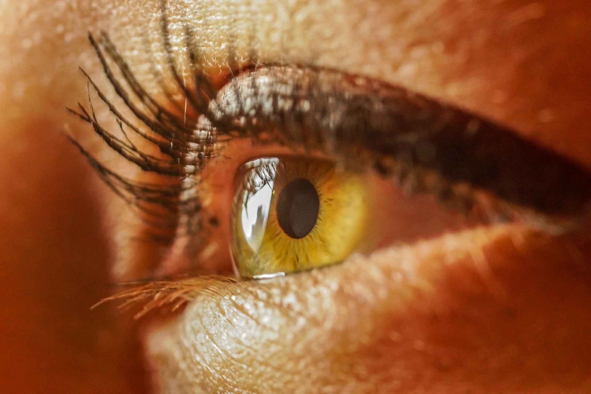 Auge Iris
