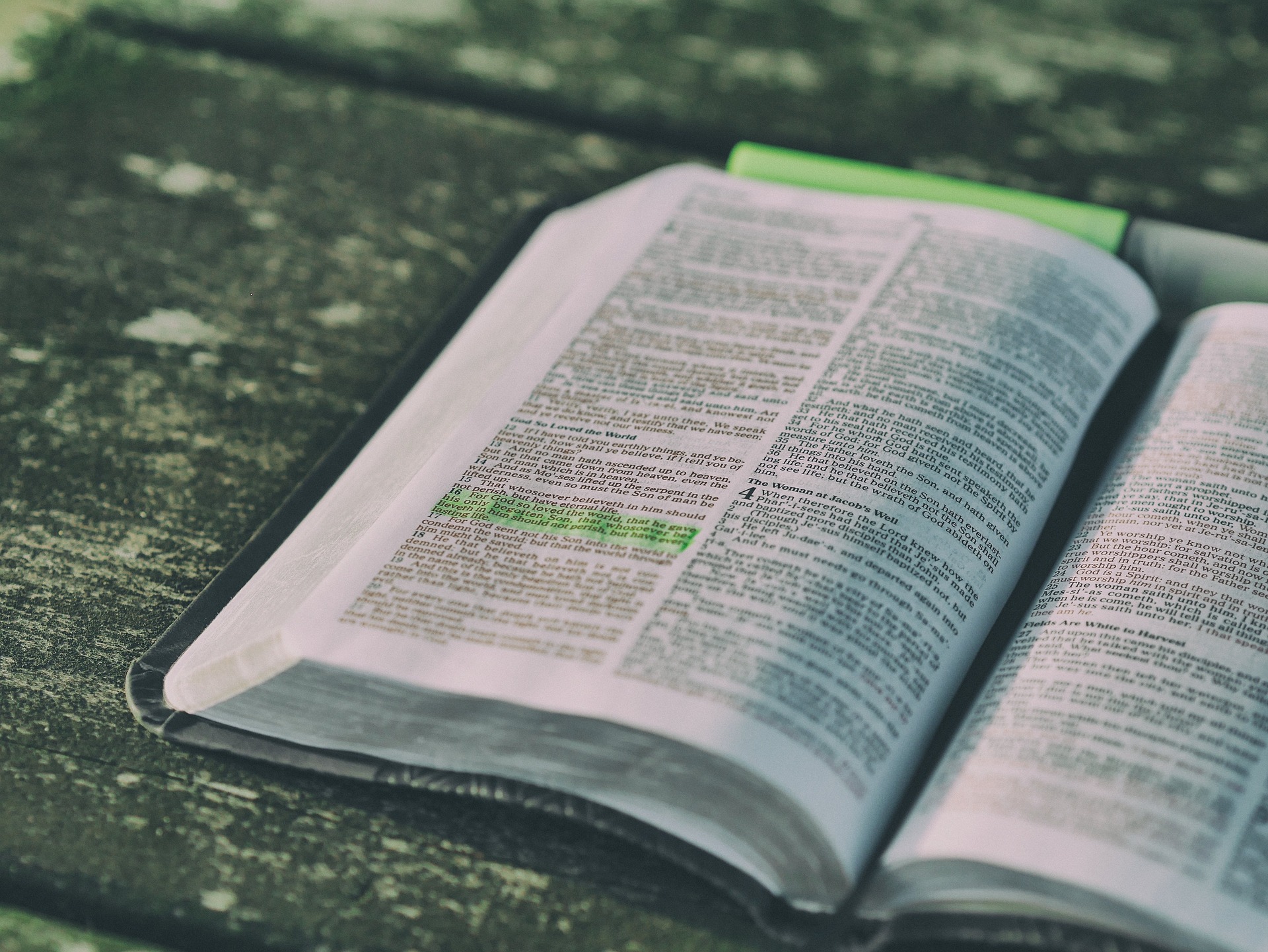 Bibel, Buch