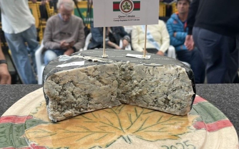 Käse bricht Guinness-Rekord – 37.000 Euro bei Auktion Käse bricht Guinness-Rekord – 37.000 Euro bei Auktion