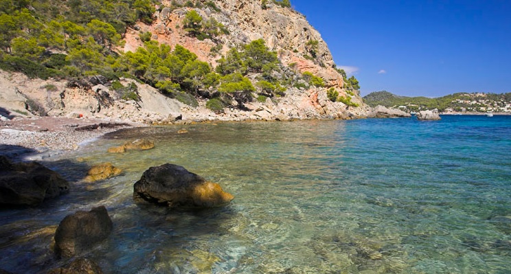 Strandgids Mallorca - Cala Blanca