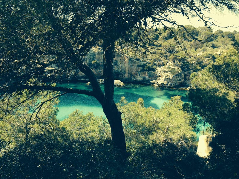 Strandführer Mallorca – Cala Pi