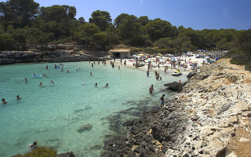 Sofortige Schließung des illegalen Parkplatzes in Cala sa Nau?