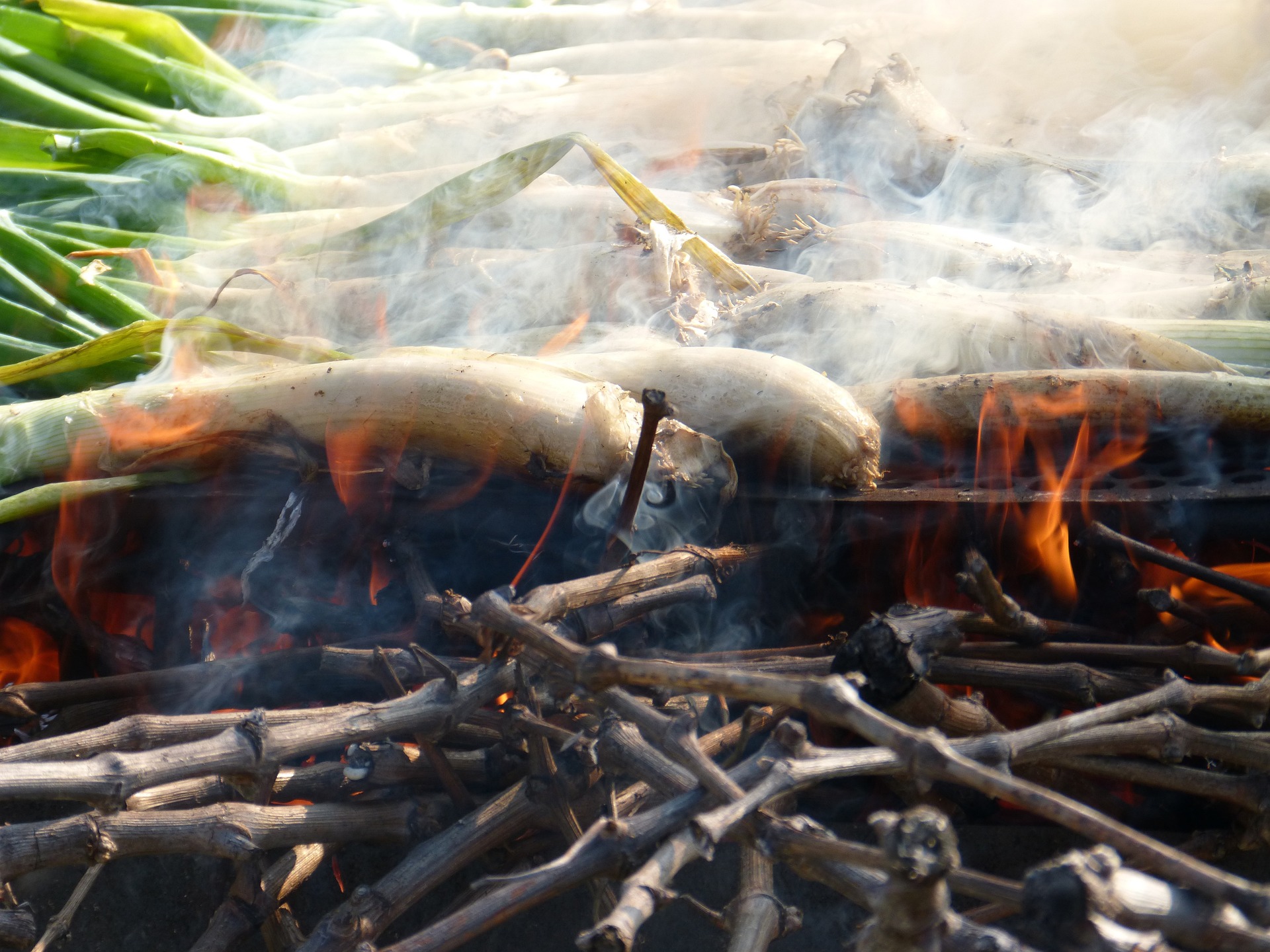 Februar 2025 – „Calçots-Zeit“ auf Mallorca
