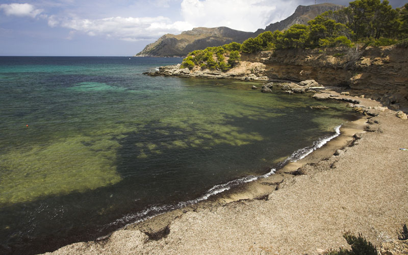 Strandgids Mallorca - Cales de Betlem
