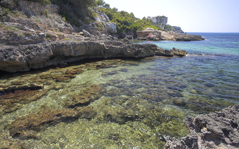 Calonet de S'Almadrava