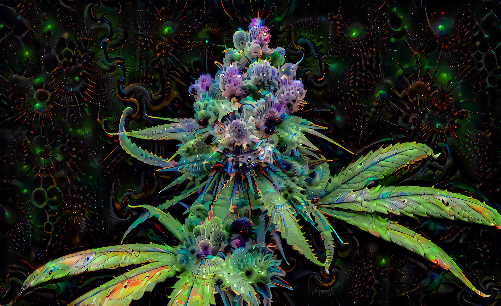 Cannabis Marihuana