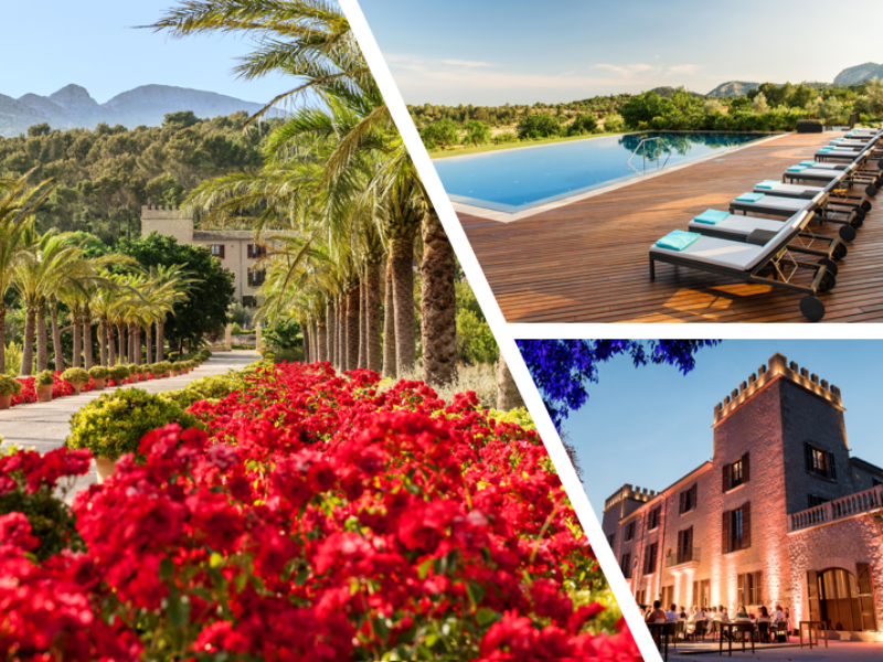Castell Insights – Mallorca geht unter die Haut