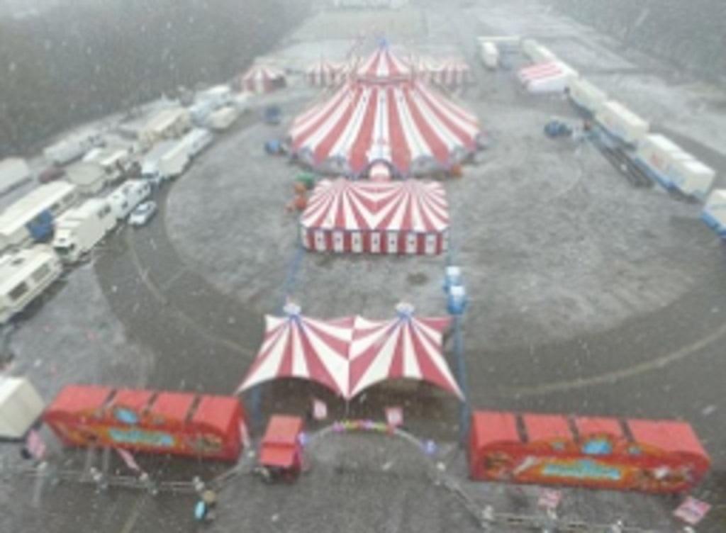 Circus Paul Busch