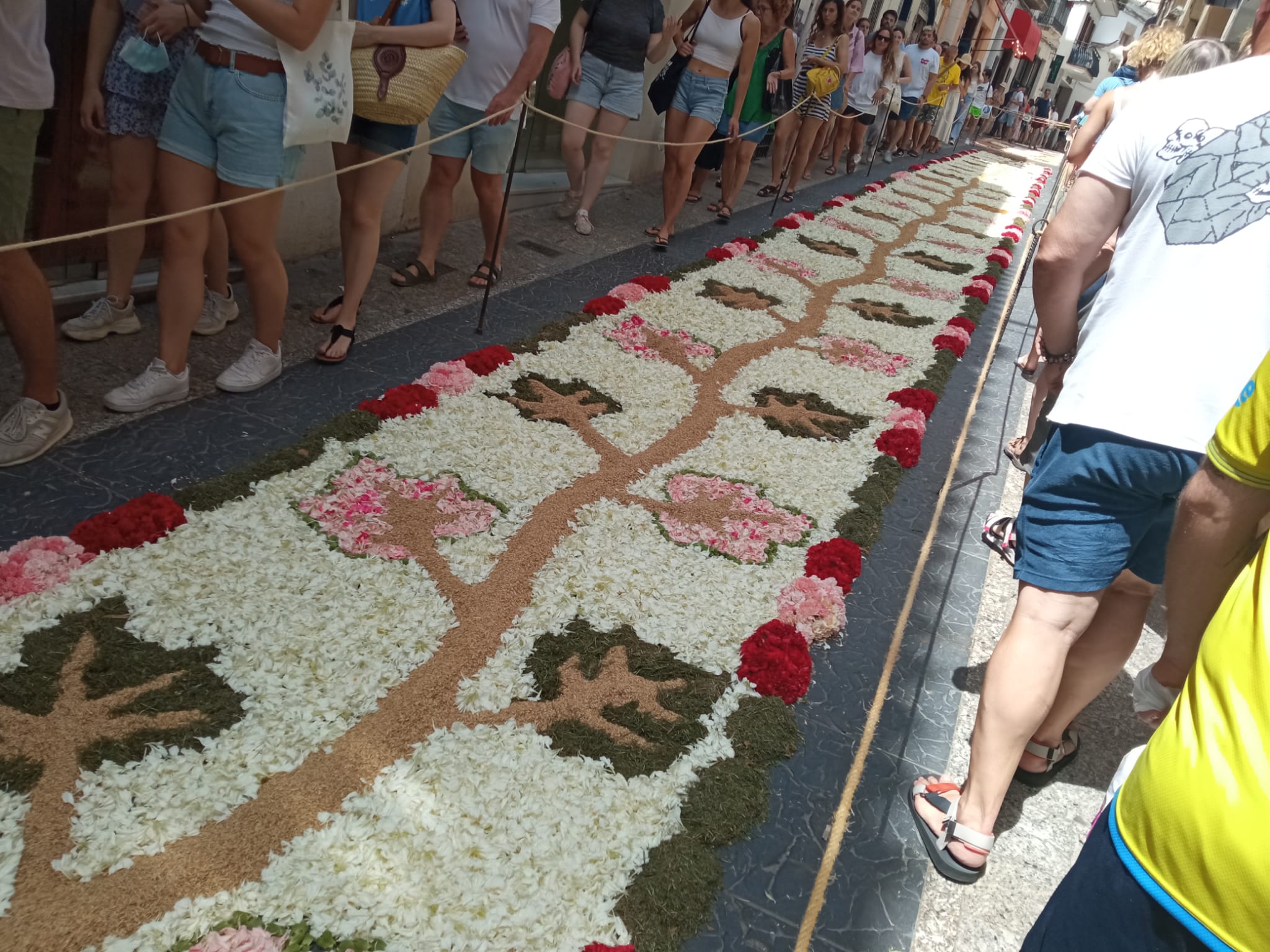 19.06.2025 – Corpus Cristi in Spanien