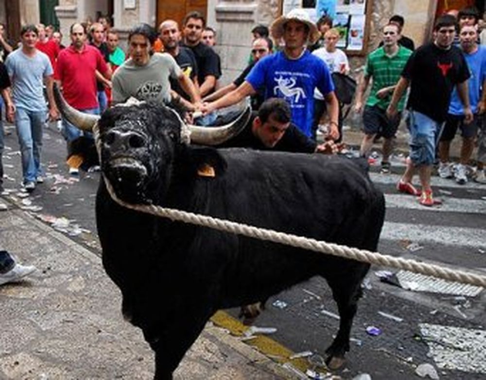 Fornalutx feiert seine traditionelle „Baixada del Bou“