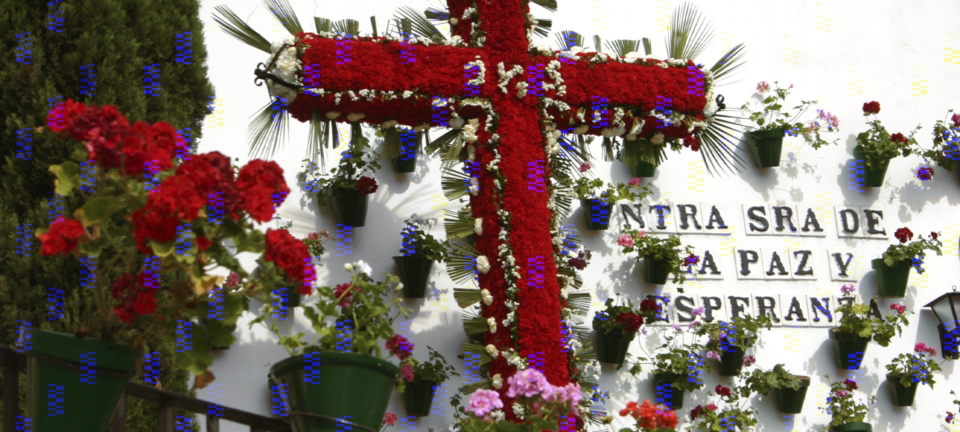 „Cruces de Mayo“ – ist jetzt was genau?