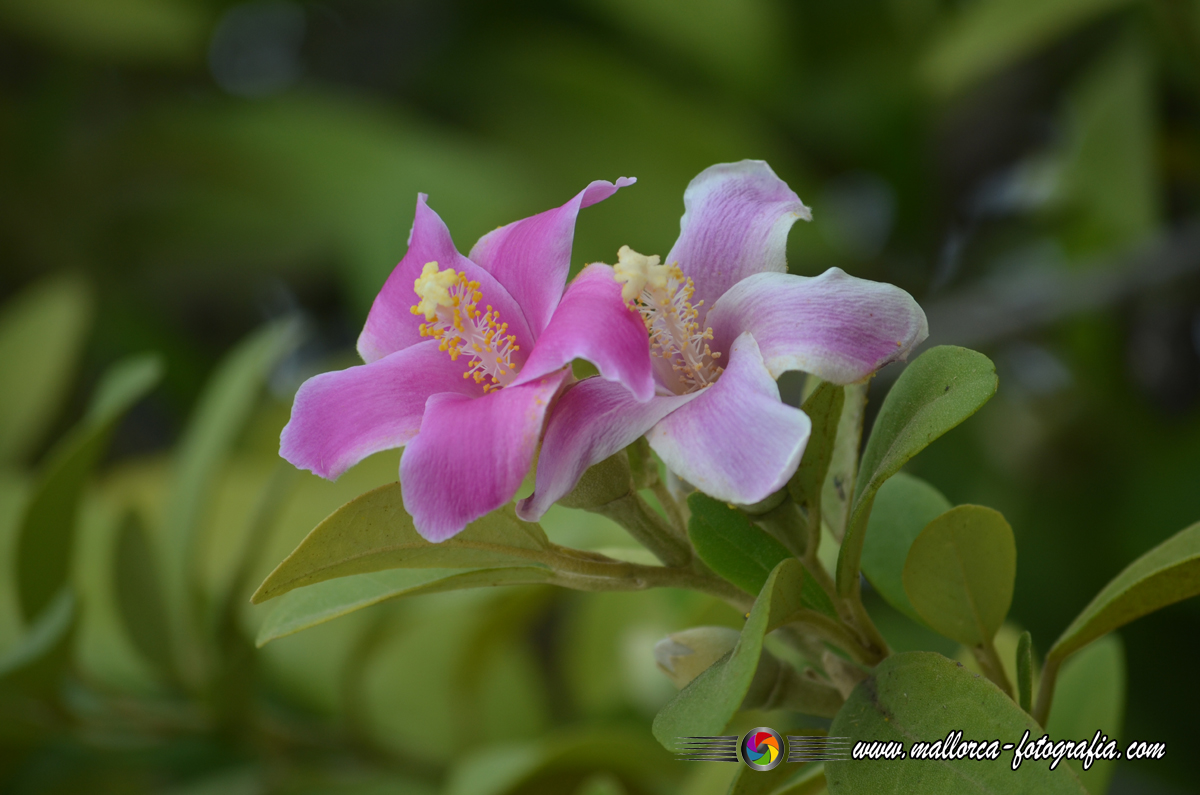 Kalenderblatt | 15.01.2025 Kalenderblatt | 15.01.2025