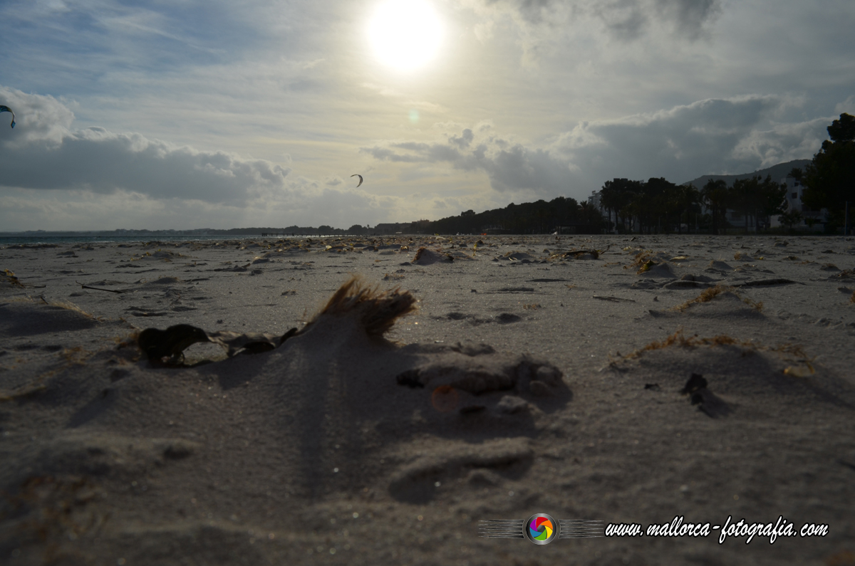 Kalenderblatt | 27.05. - Playa de Alcúdia