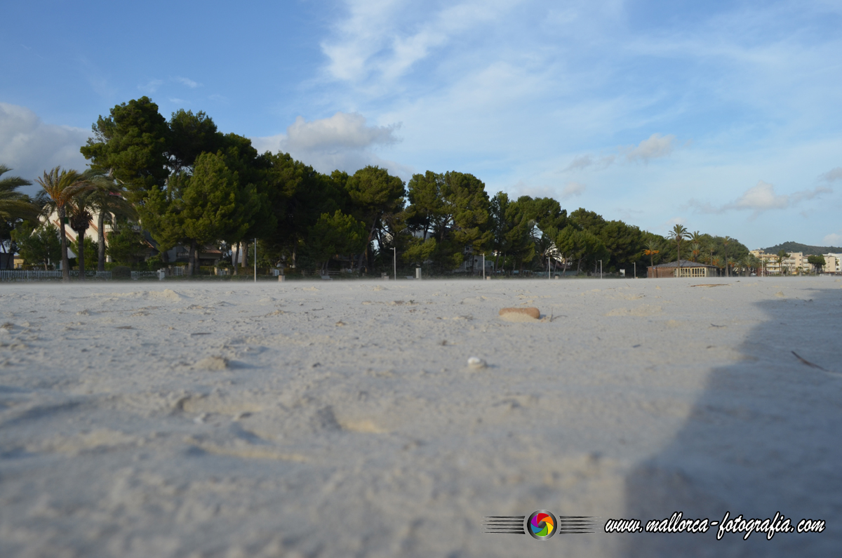 Nicht alles auf Mallora wird teurer Nicht alles auf Mallora wird teurer