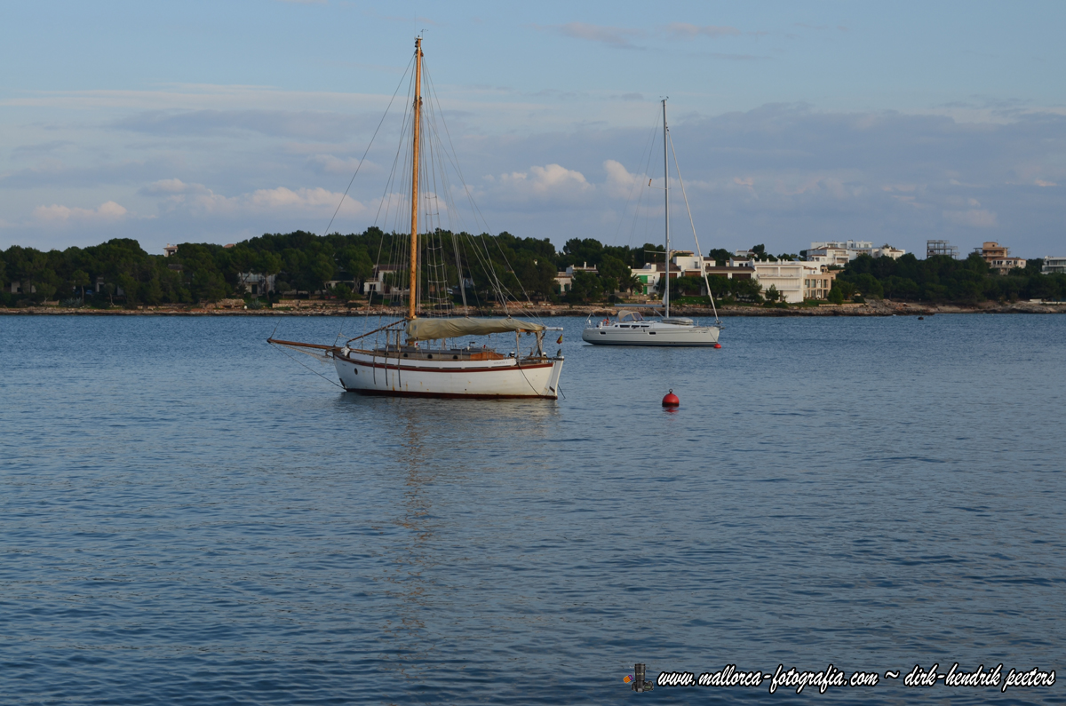 Portocolom houdt vast aan Posidonia