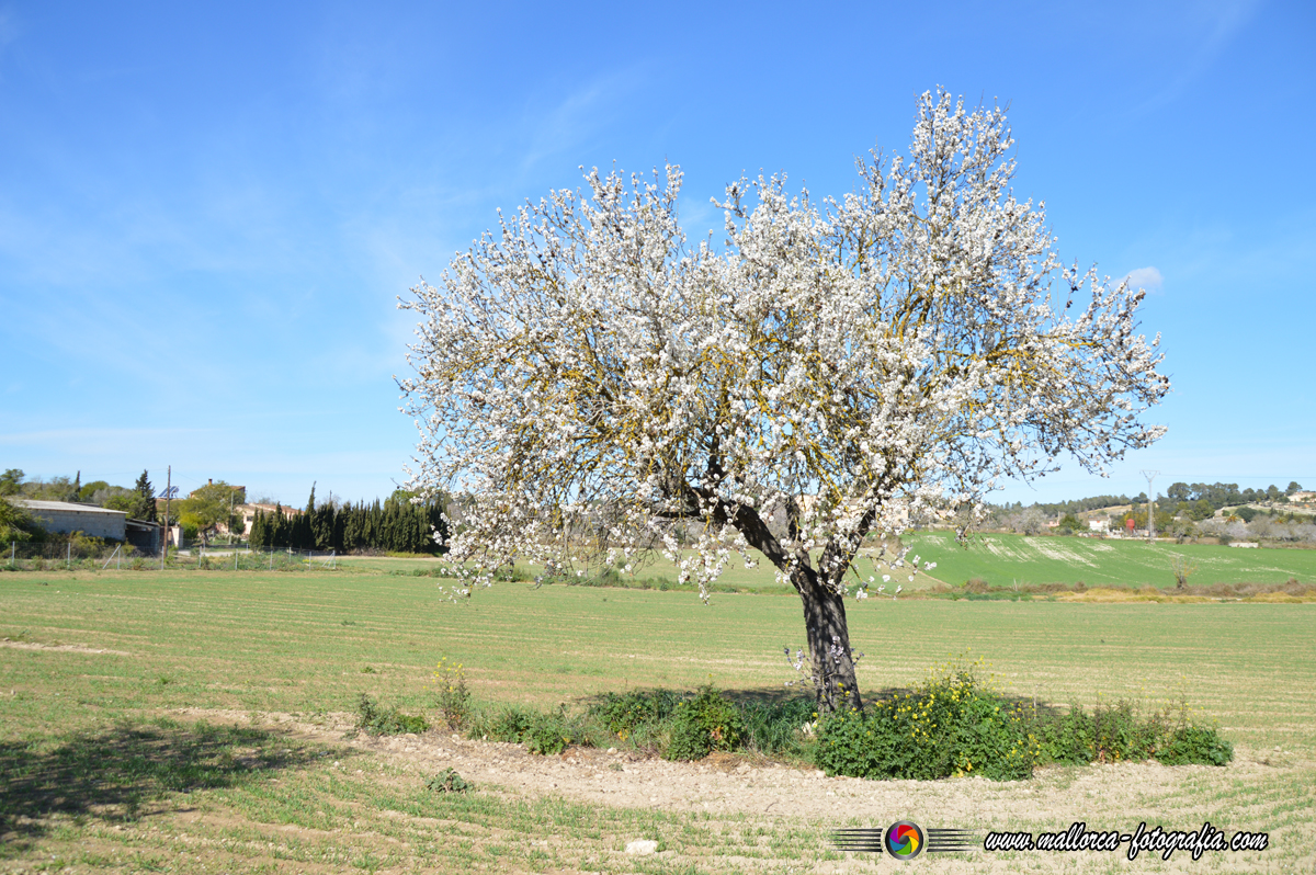 Kalenderblatt | 10.12.2024 Kalenderblatt | 10.12.2024