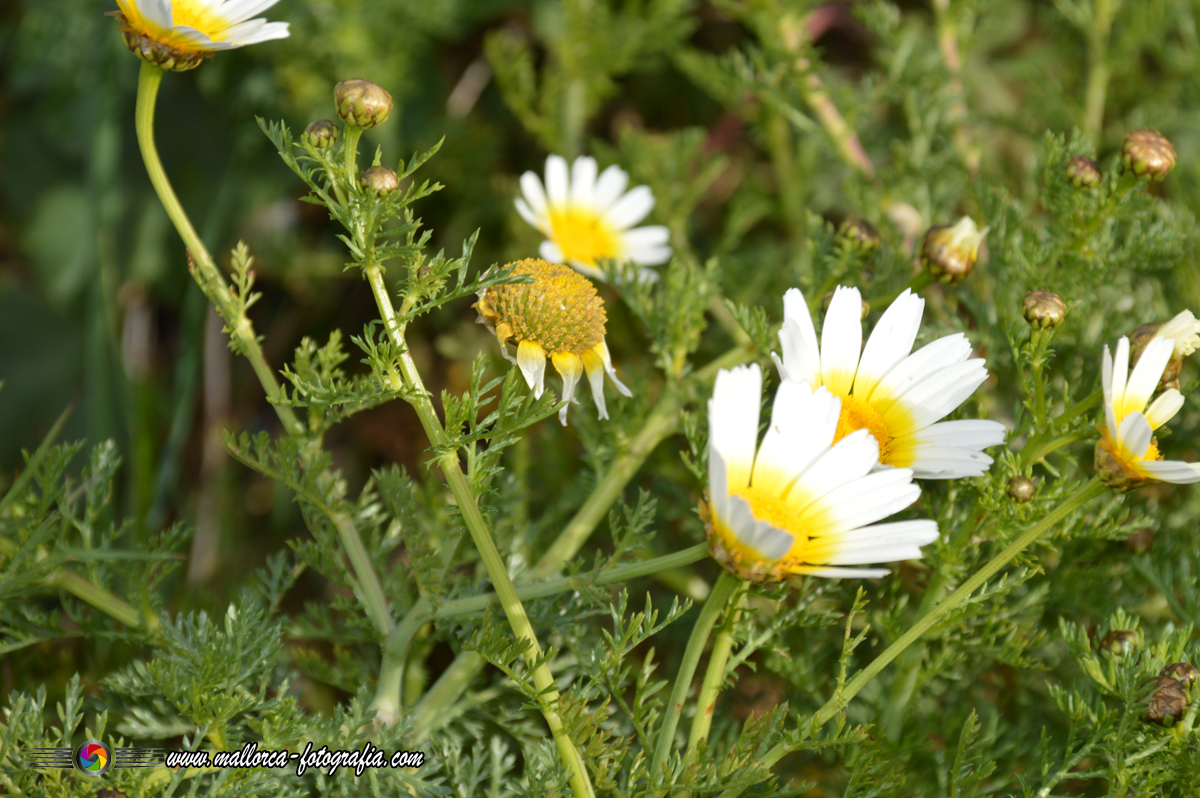 Kalenderblatt | 12.12.2024 Kalenderblatt | 12.12.2024