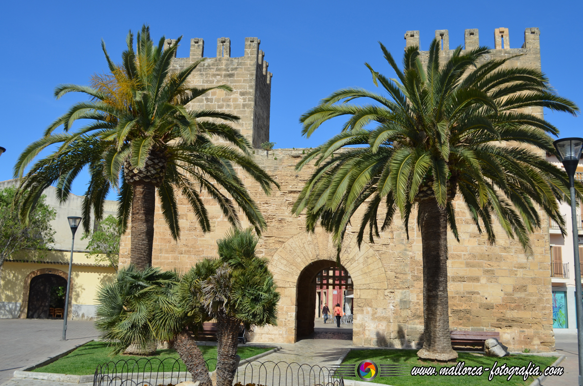 Fira Nàutica i Mostra Gastronòmica de la Sípia in Port d’Alcúdia