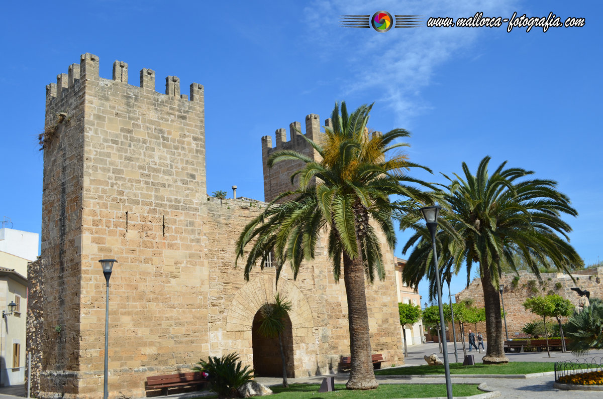 GOB moniert illegale Parkplätze in Alcúdia