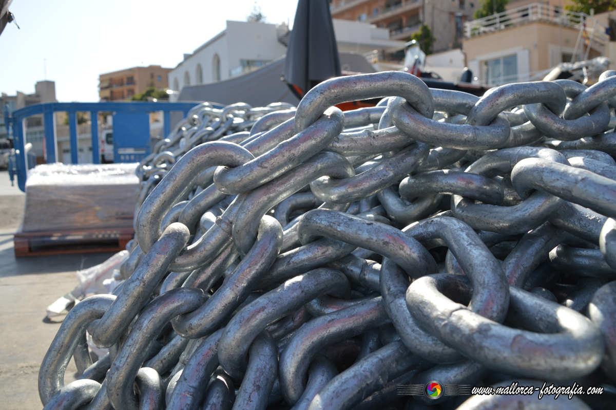 Kalenderblatt | 01.02. - Calanova