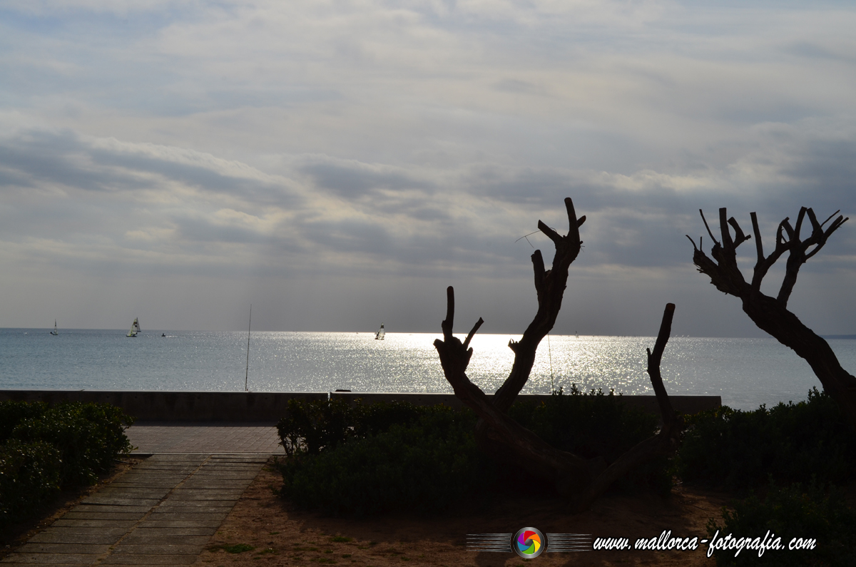 Kalenderblatt | 27.09. - Playa de Palma