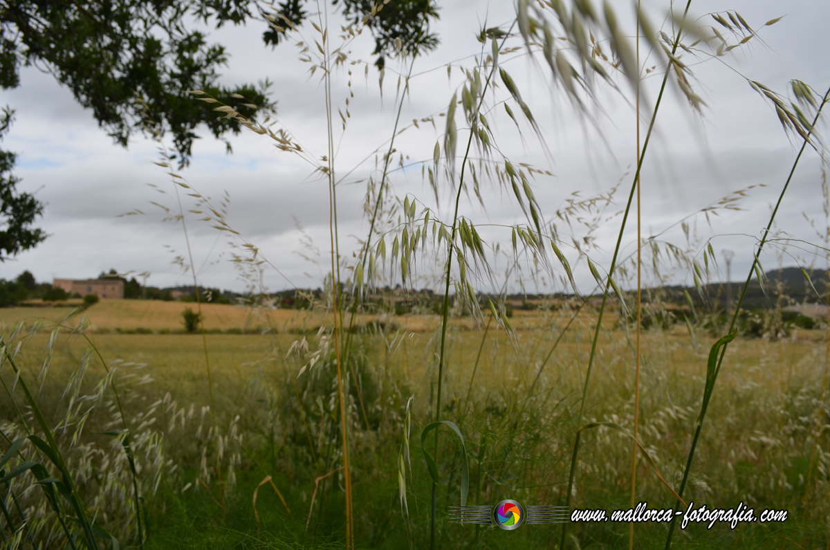 Kalenderblatt | 29.10.2025 Kalenderblatt | 29.10.2025
