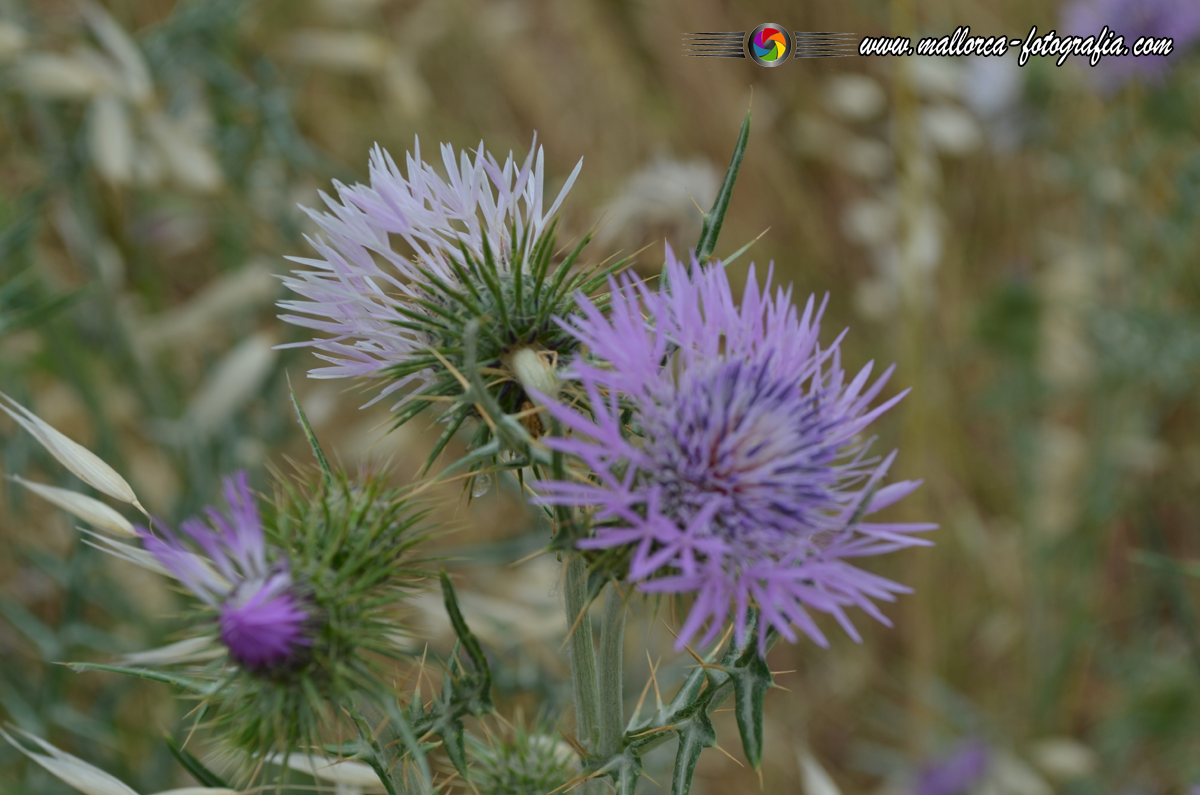 Kalenderblatt | 30.10.2025