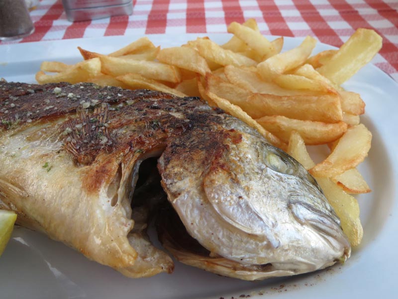 Dorade