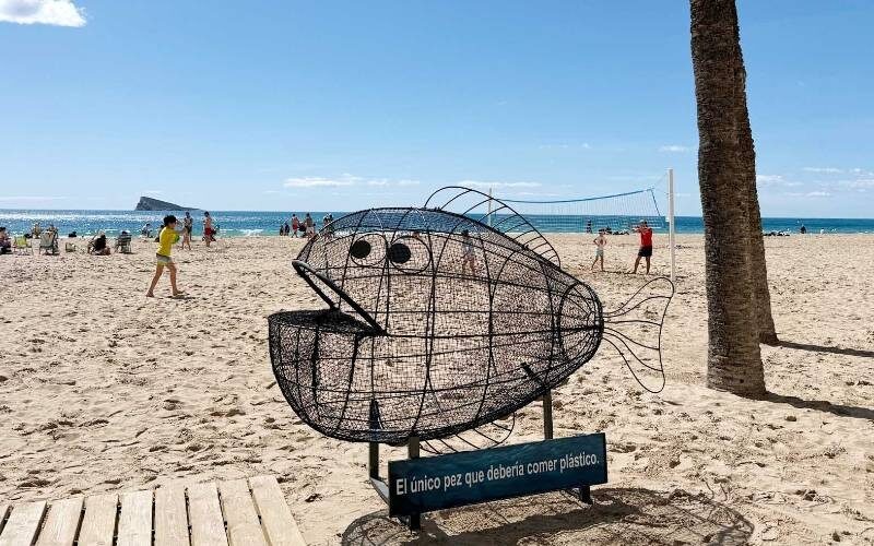 Ein Fisch, der Plastik frisst