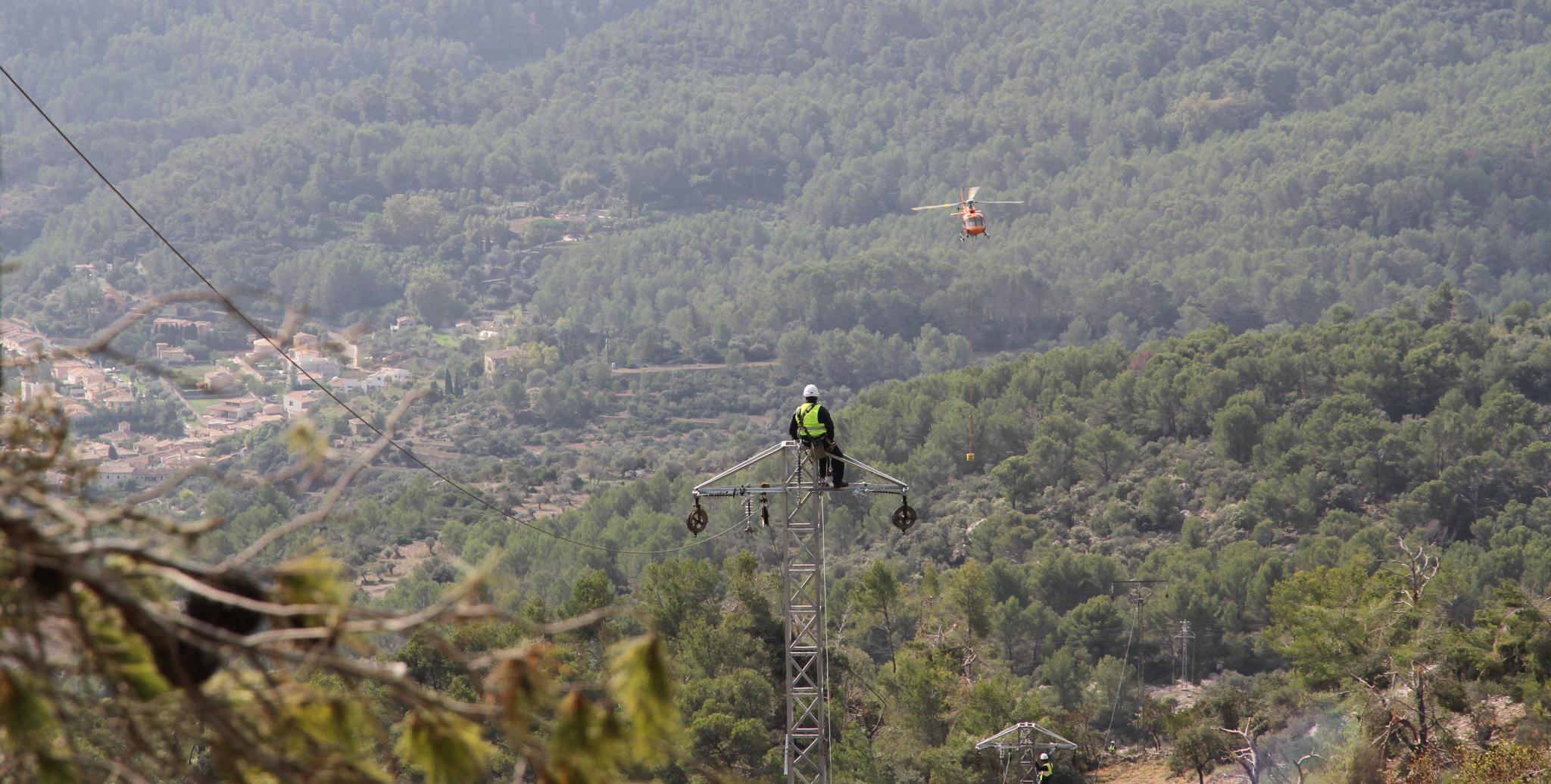 Endesa stärkt das Stromnetz und schützt unsere Wälder