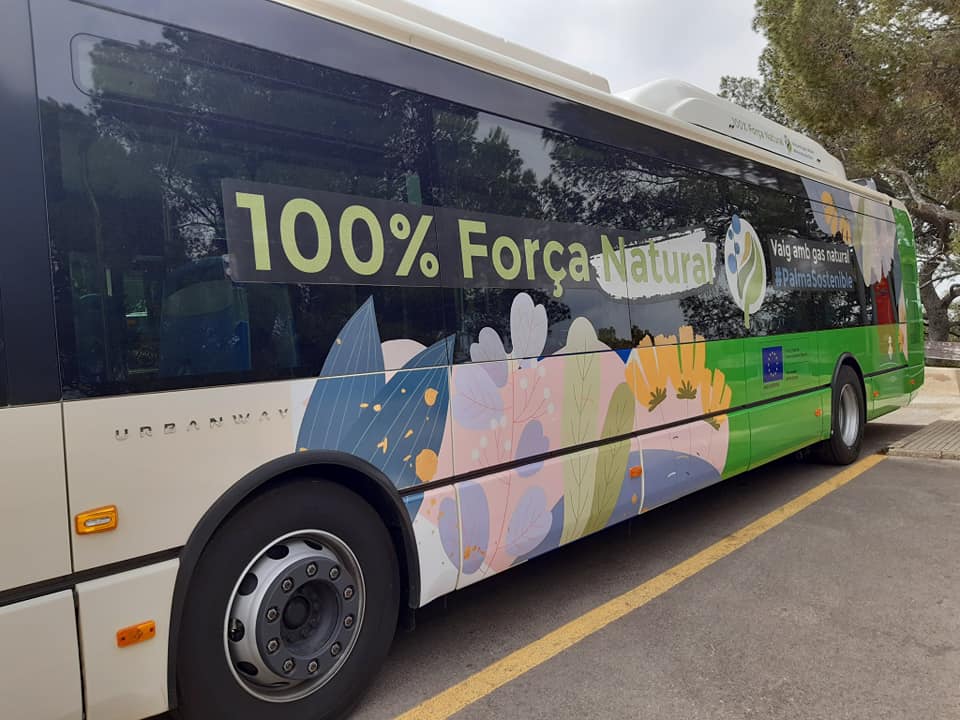 Müssen Busfahrer auf Mallorca katalanisch sprechen können?