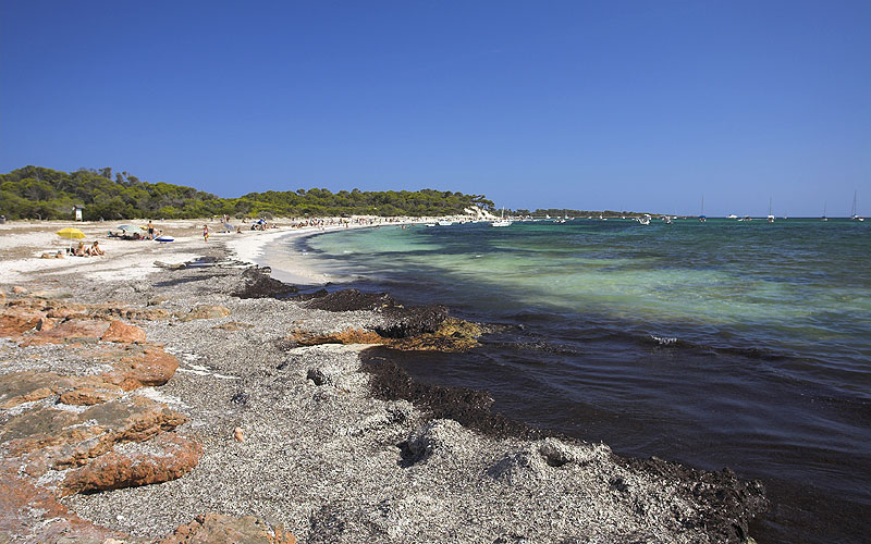 Strandgids Mallorca – Es Dofí