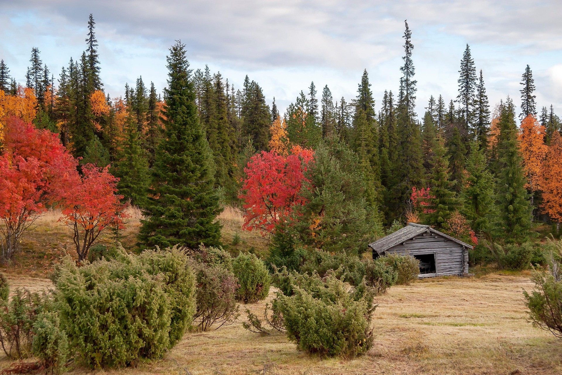 Finnische Militärmanöver nahe russischer Grenze