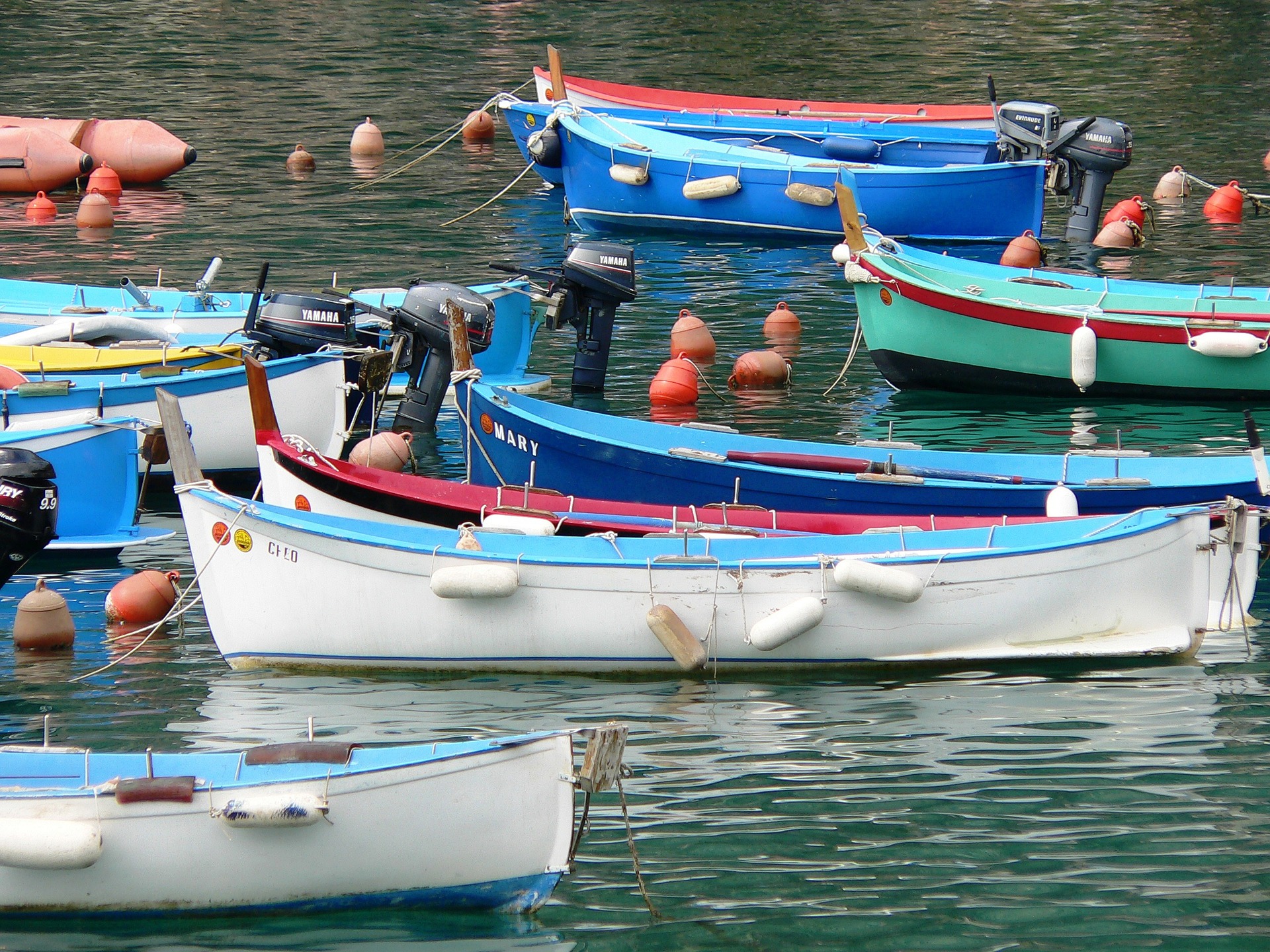 Mehrjahrespläne für die Fischerei auf Seehecht und Seebrasse