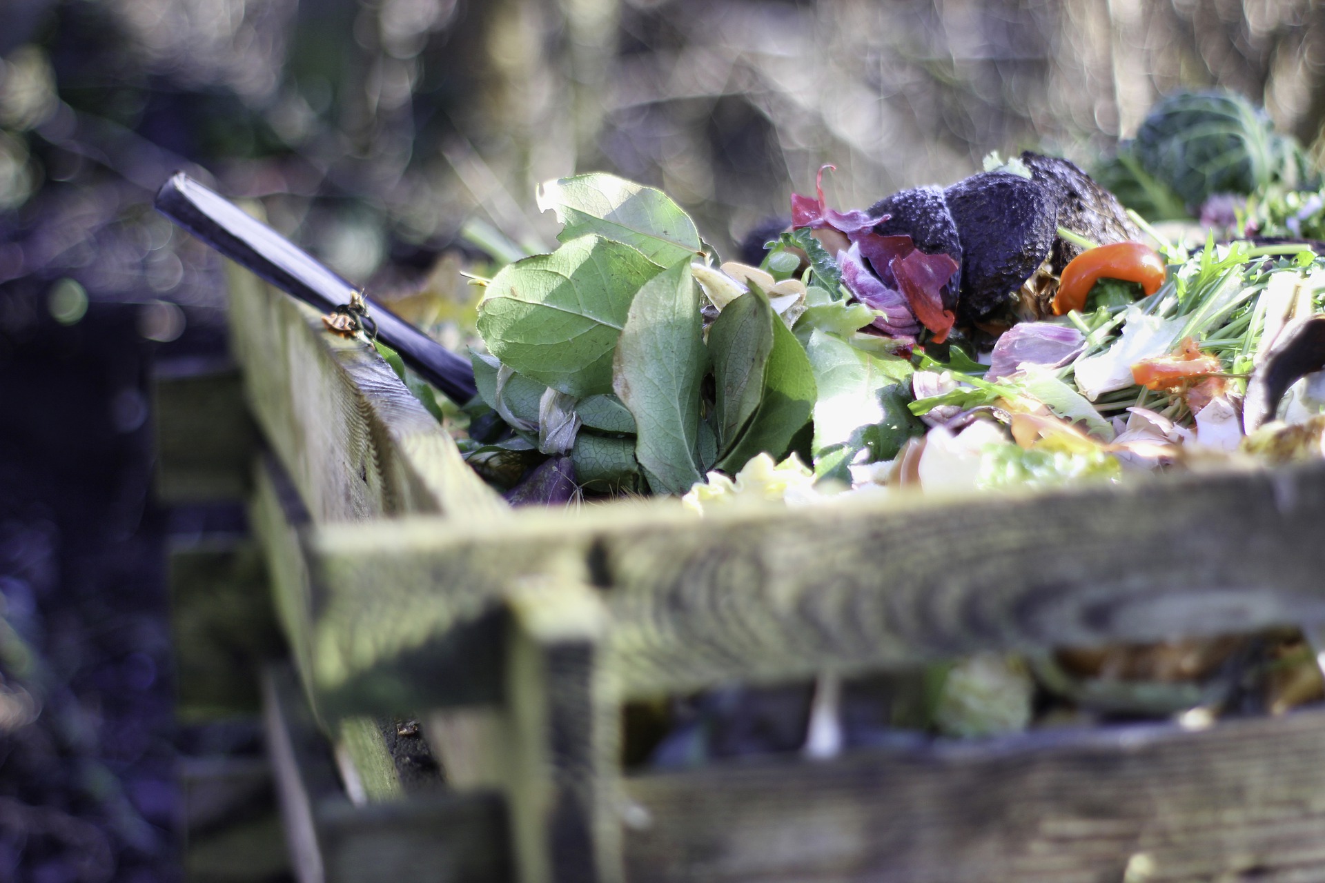 Garten Kompost
