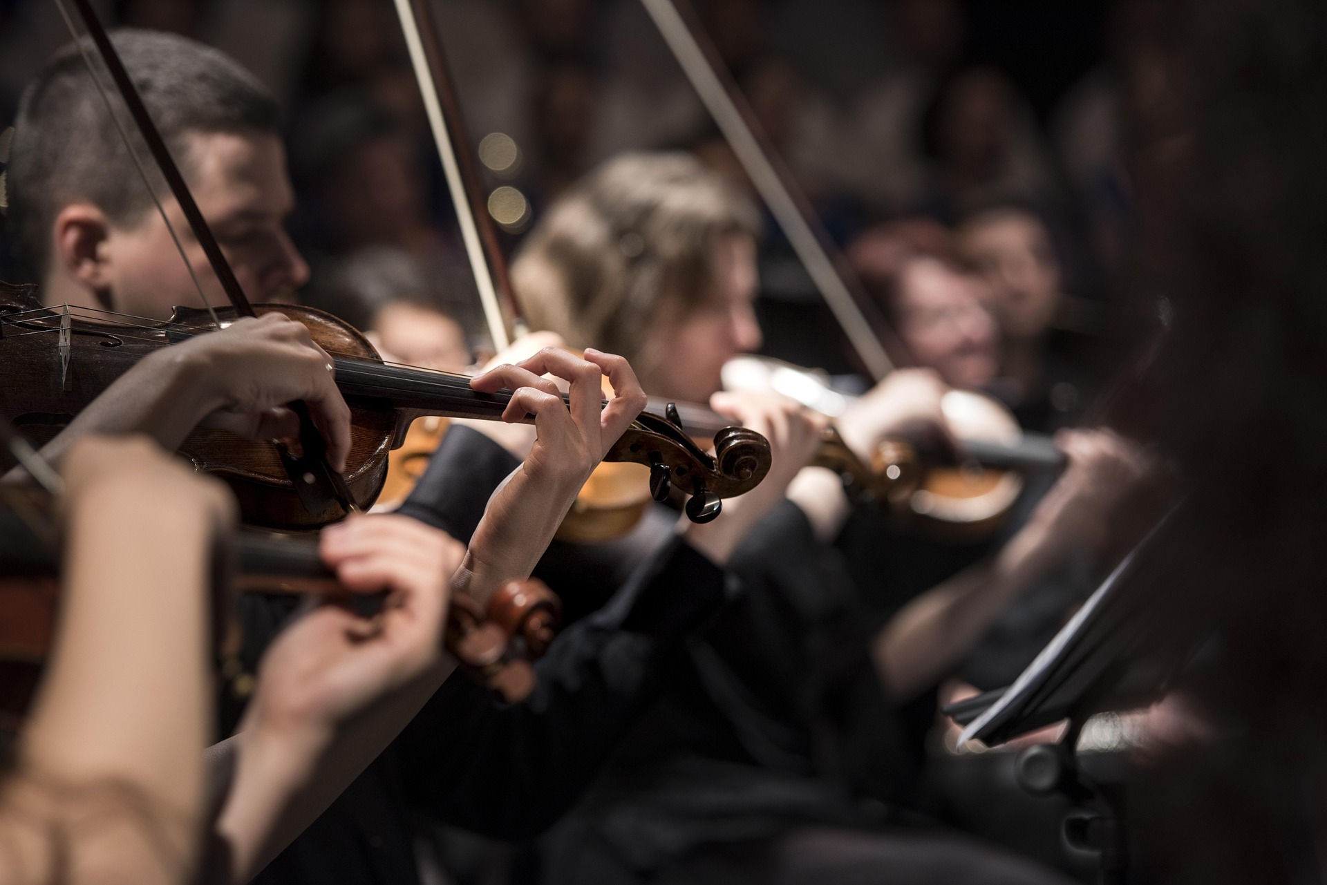 Geigen, Musiker, Orchester