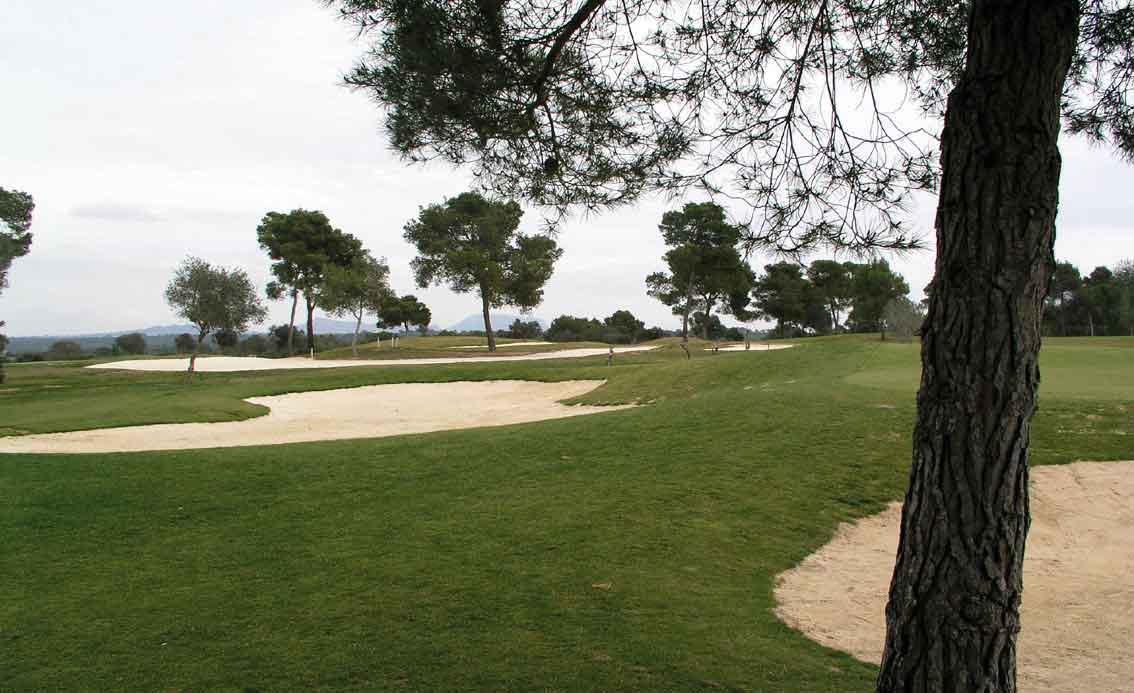 Golf Maioris
