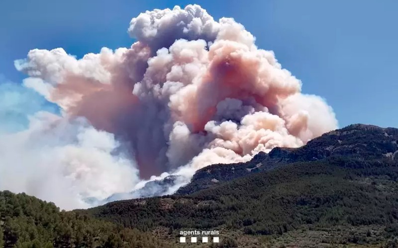 Großer Waldbrand in Tarragona