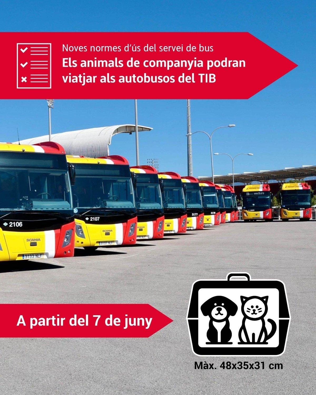 Haustiere dürfen im TIB-Bus mitfahren