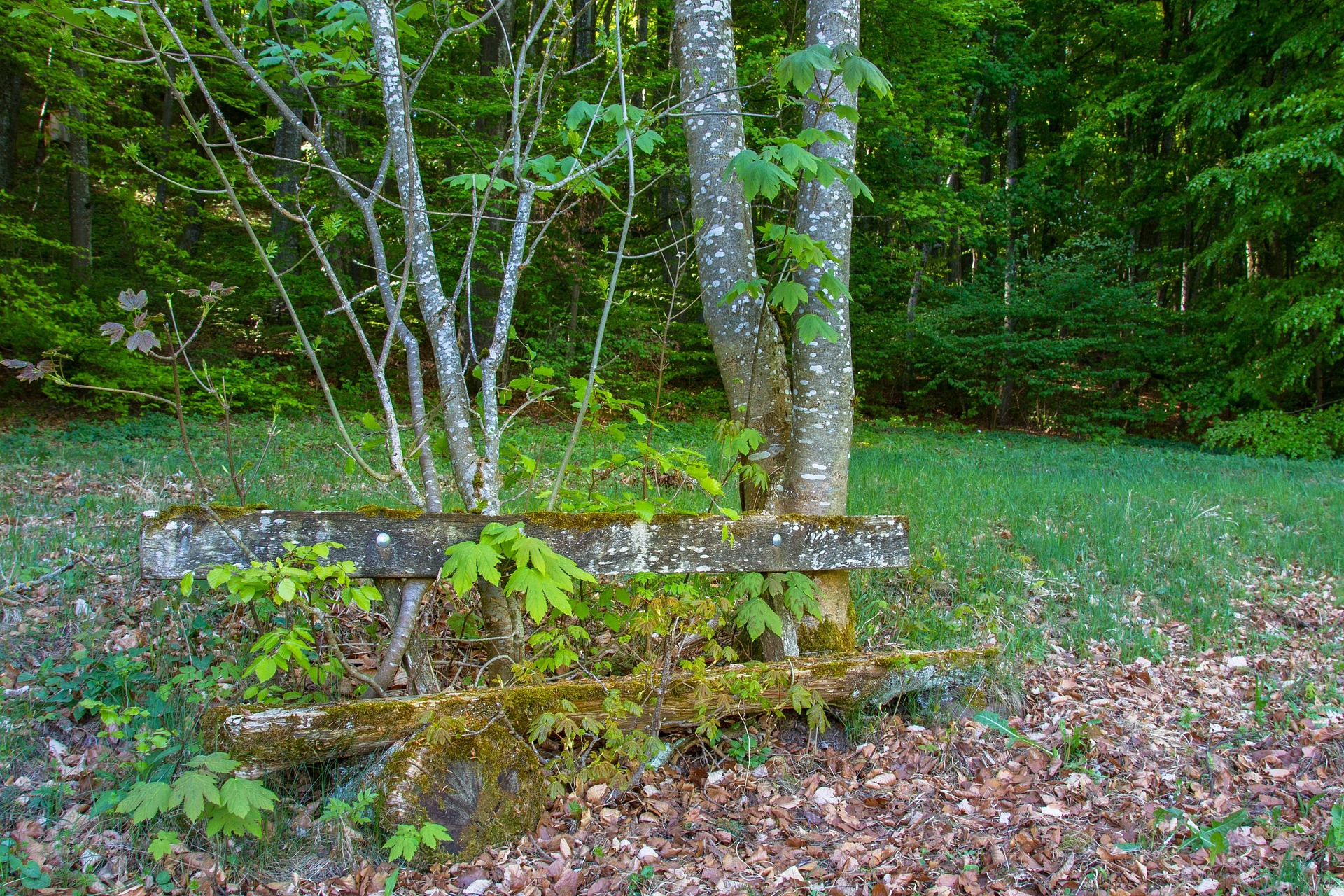 Schwere Holz‑Bänke tauchen aus dem Nichts auf