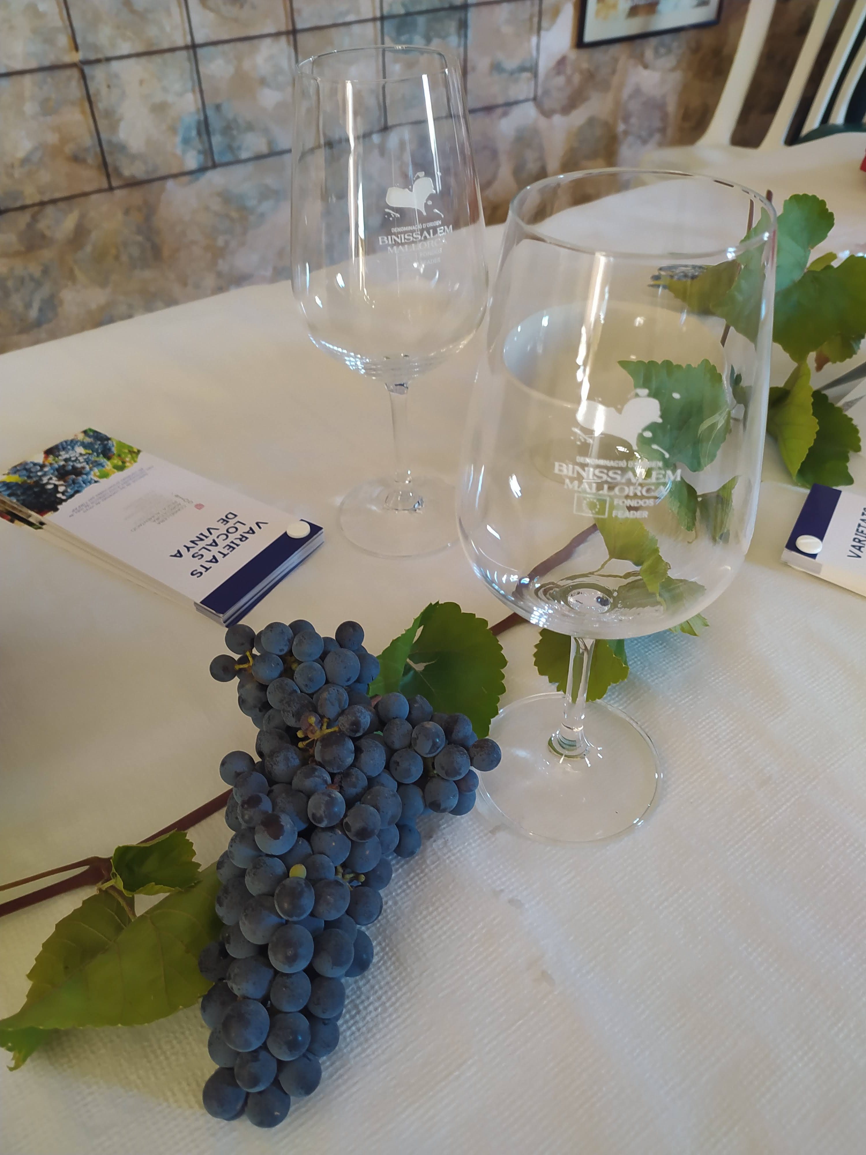 Neue Ausgabe von „Die Aromen des Weins der DO Binissalem“ Die Aromen des Weins der DO Binissalem