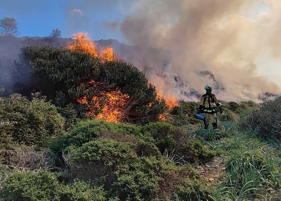 Kontrollierte Feuer auf Mallorca