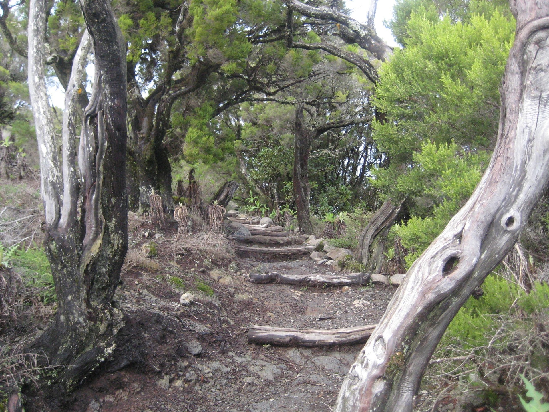 La Gomera – Teneriffas entspanntere Schwester