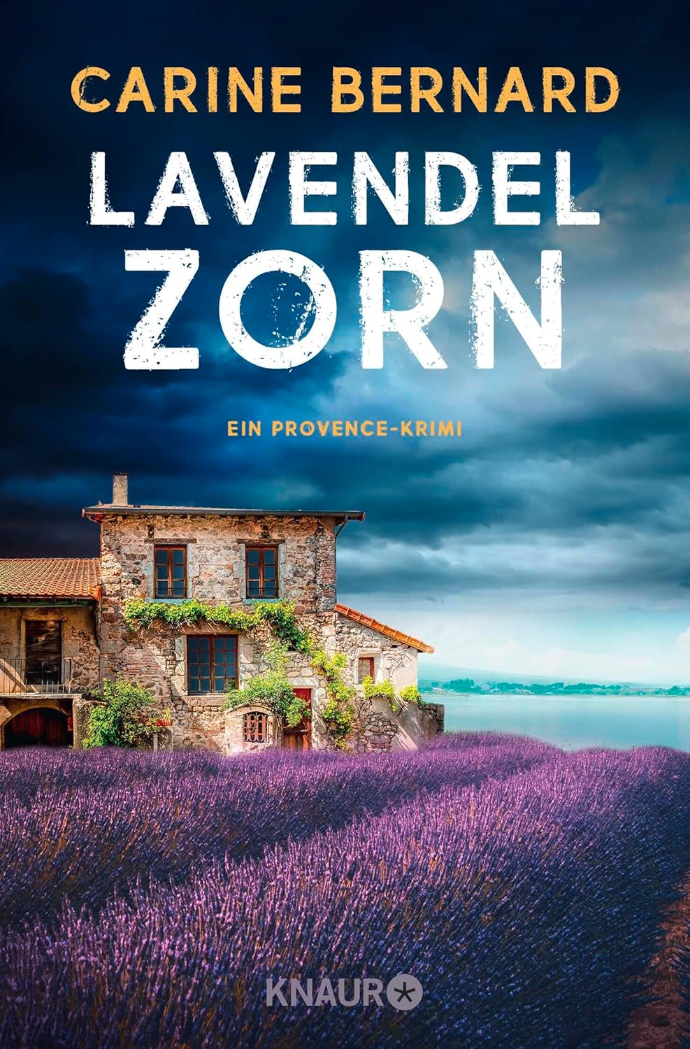 Lavendel-Zorn: Ein Provence-Krimi