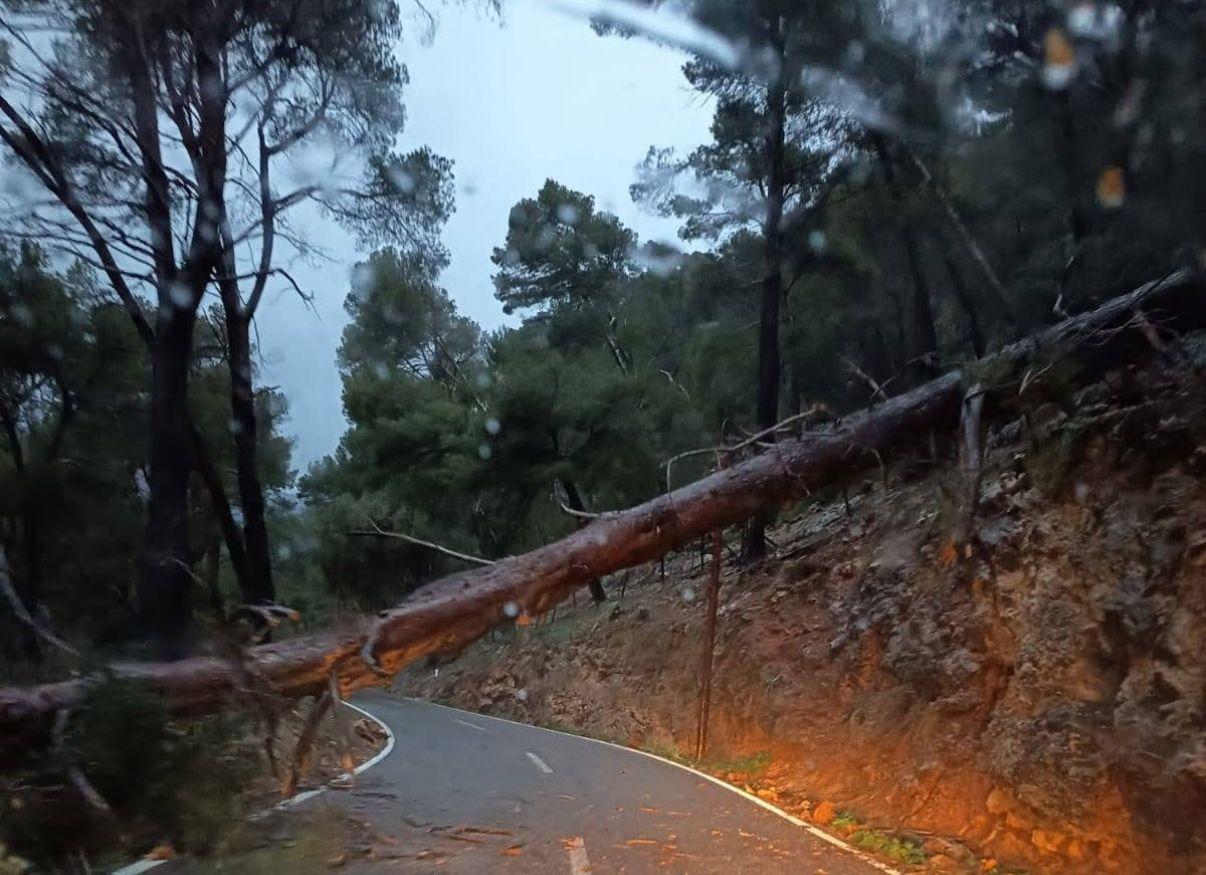 Ma-2130 Caimari–Lluc gesperrt