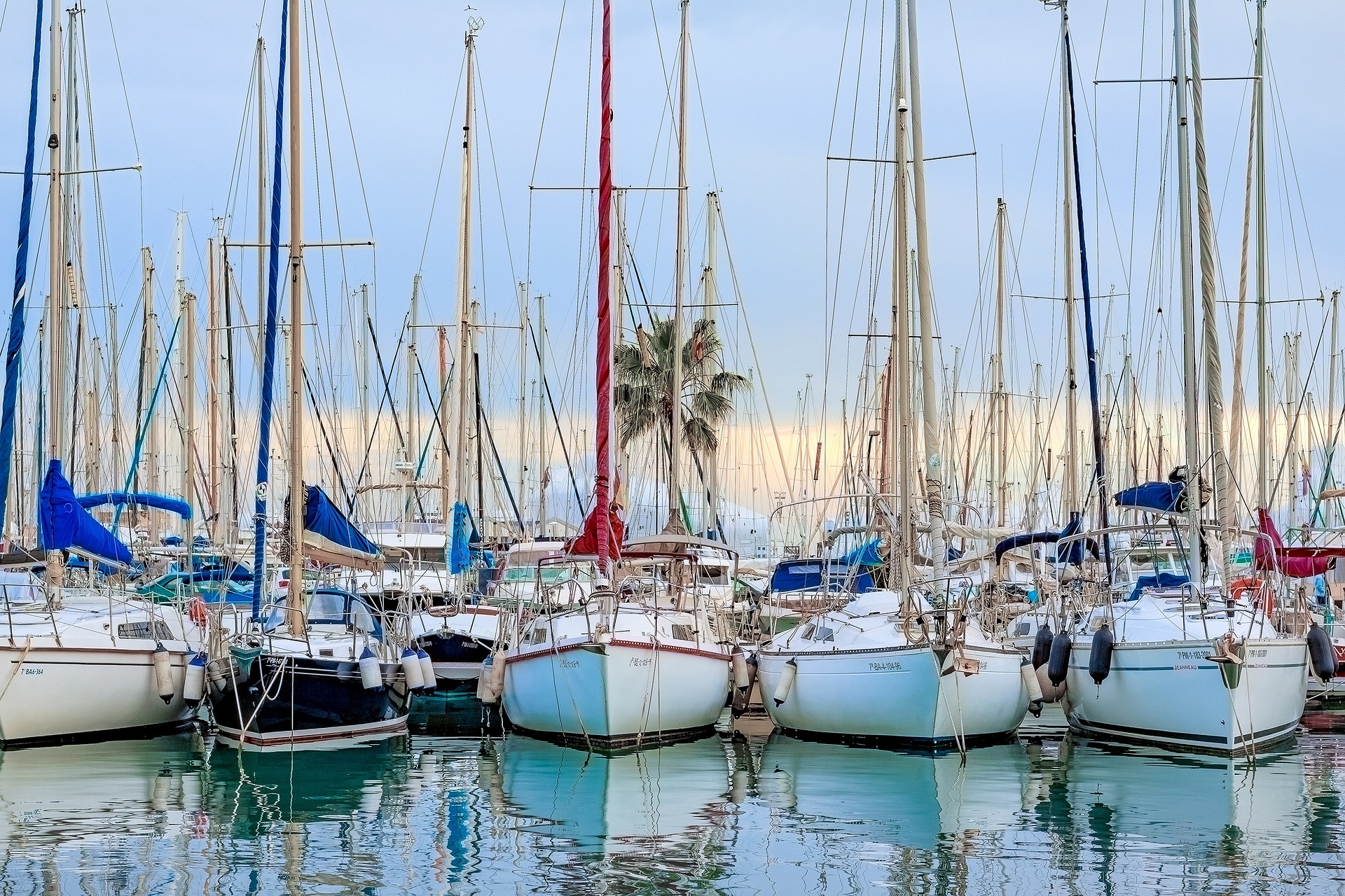 Mallorca Palma Yachthafen Segelboot