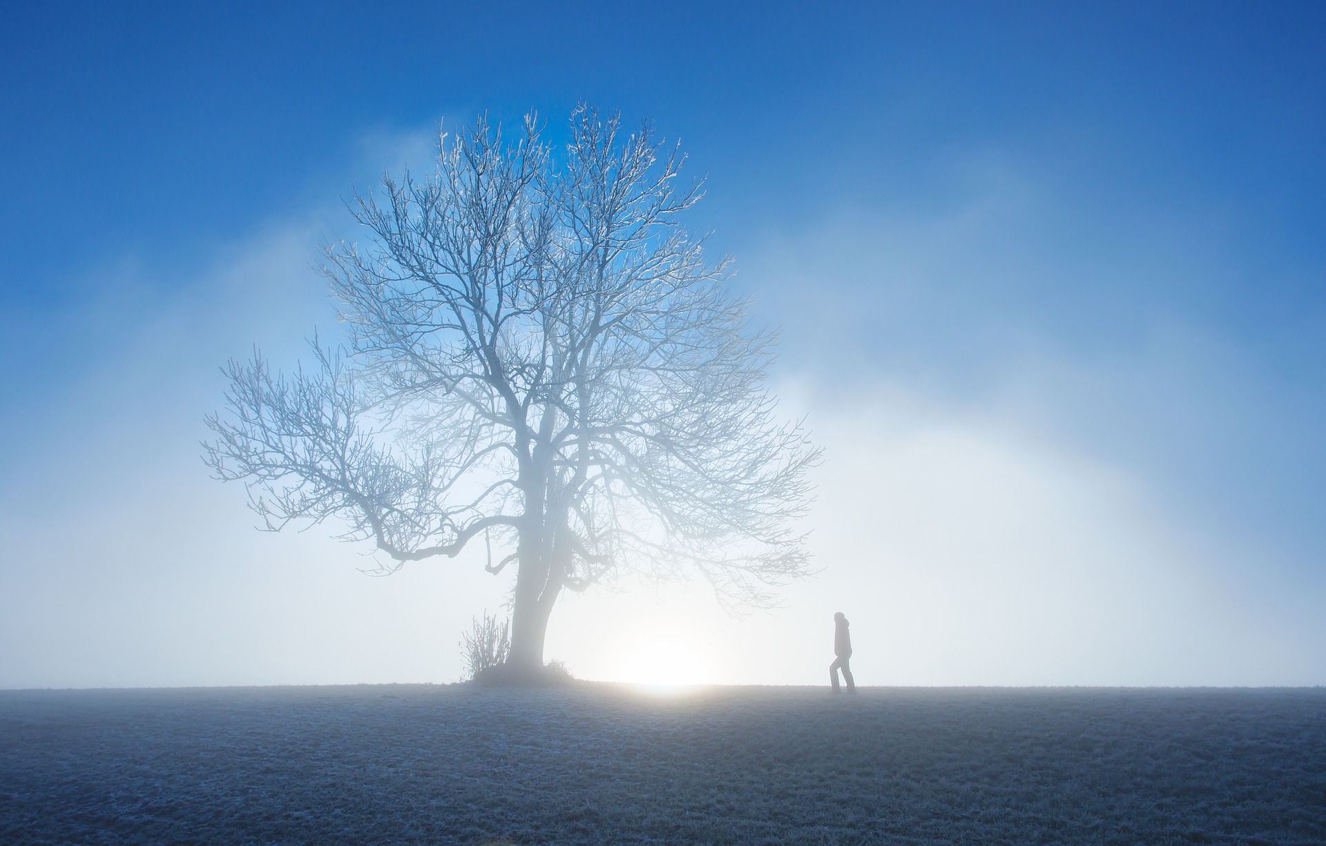 Mallorca im Nebel