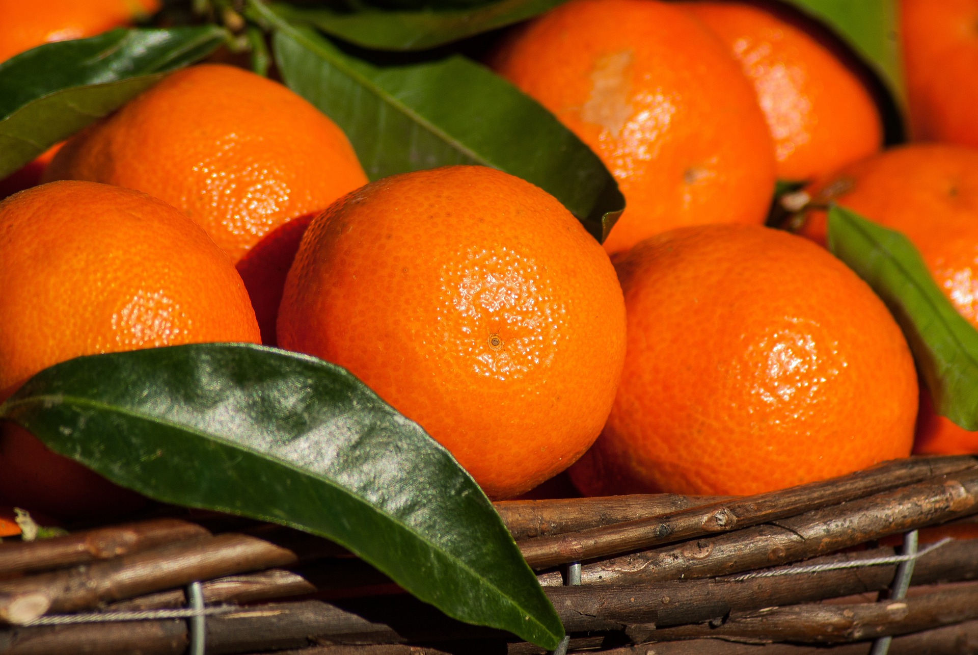 Mandarinen oder Clementinen – wo ist da der Unterschied?
